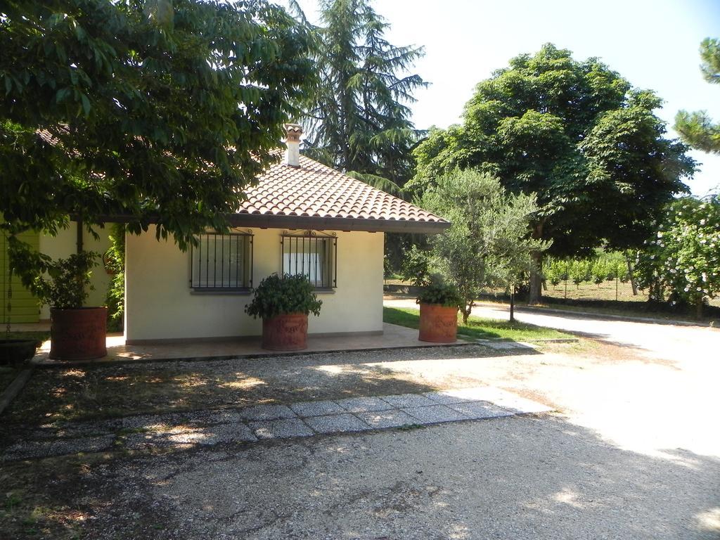 Caterina Residence Faenza Exteriör bild