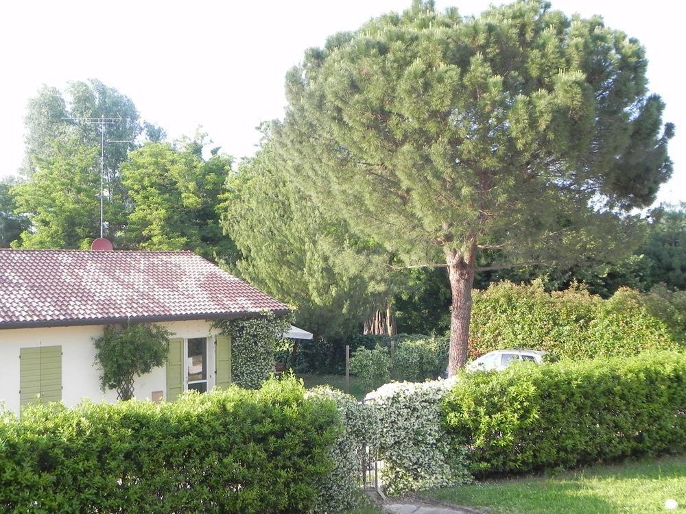 Caterina Residence Faenza Exteriör bild